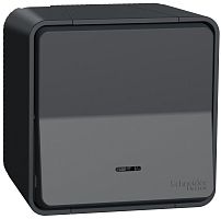 Переключатель с подсветкой накладной Schneider Electric Mureva Styl 1-кл. проходной IP55 антрацит картинка